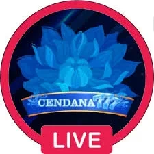Aplikasi cendana777 Ringan untuk Android dan protogel: Rangkuman Brand yang Banyak Dicari
